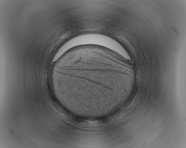X0000112030260200909141103