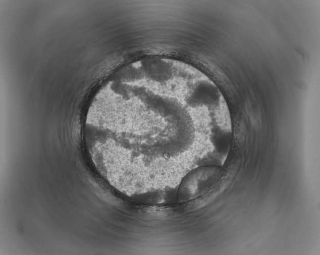 X0000112030261200909141103