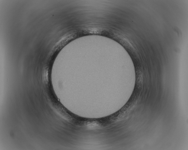 X0000112030262200909141103
