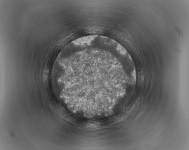 X0000112030263200909141103
