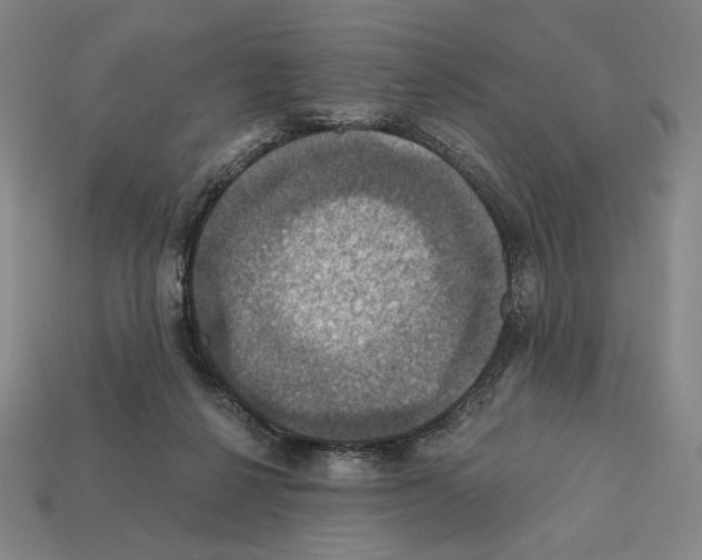 X0000112030264200909141103