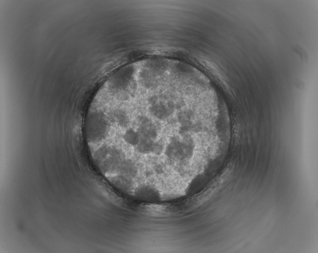 X0000112030265200909141103