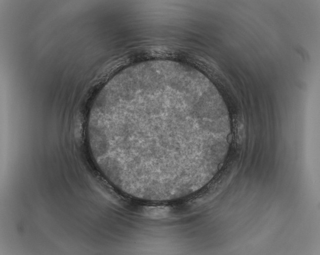 X0000112030266200909141103