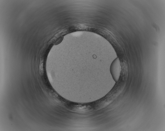 X0000112030267200909141103