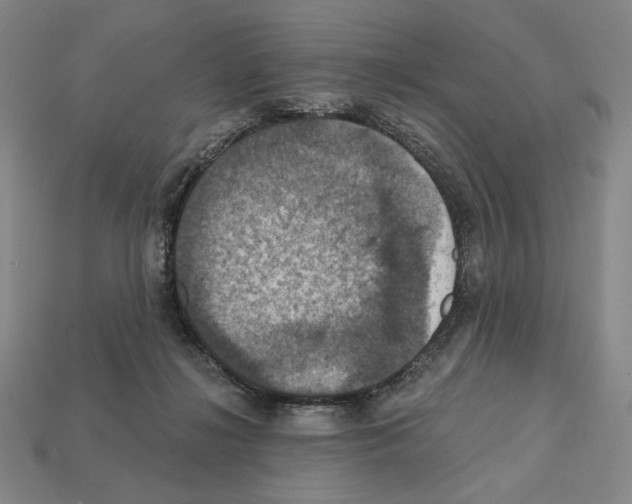 X0000112030268200909141103