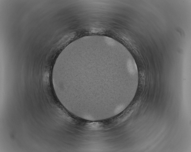 X0000112030269200909141103