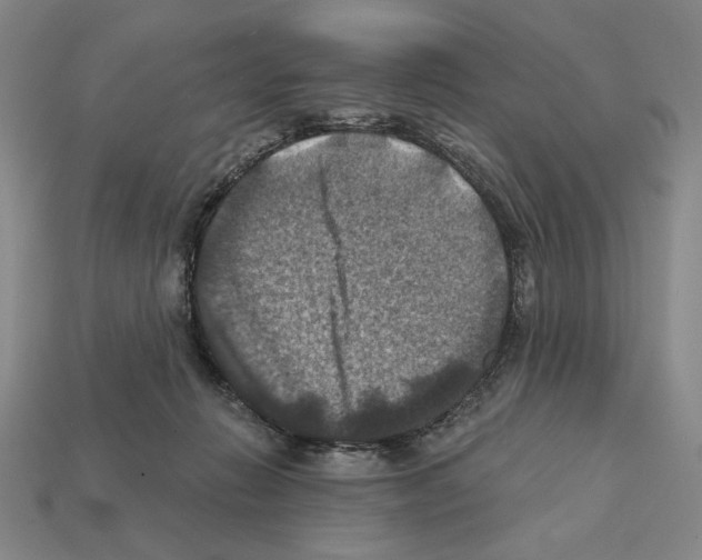 X0000112030270200909141103