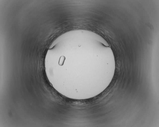 X0000112030272200909141103