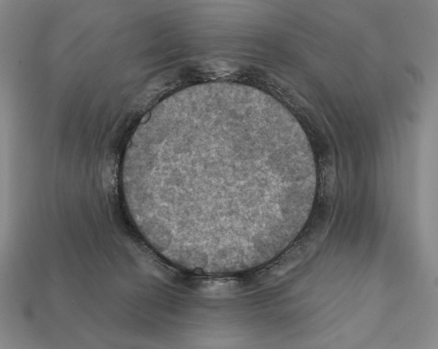 X0000112030274200909141103
