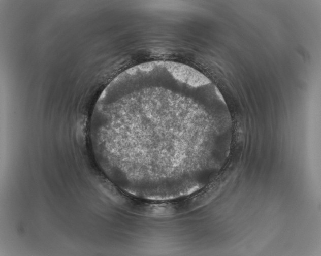 X0000112030275200909141103