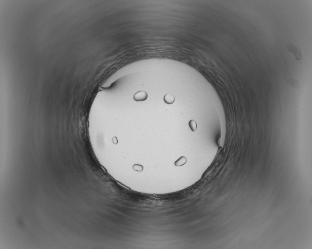 X0000112030276200909141103