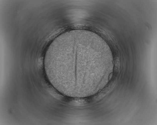 X0000112030278200909141103