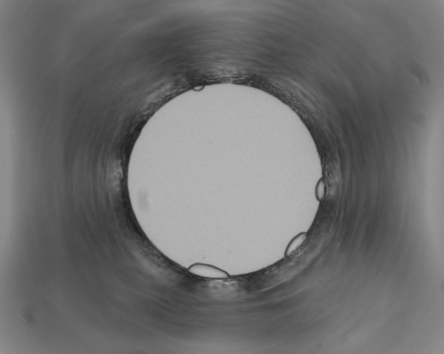 X0000112030279200909141103