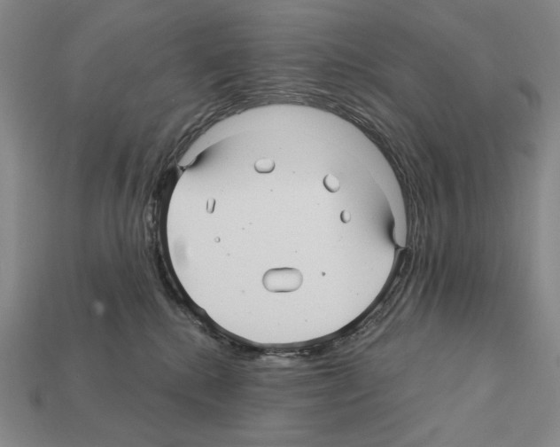 X0000112030280200909141103