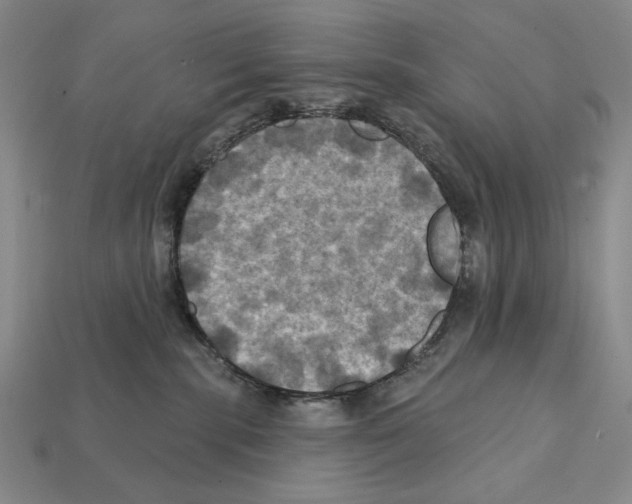 X0000112030283200909141103