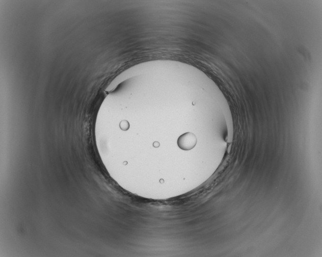 X0000112030284200909141103