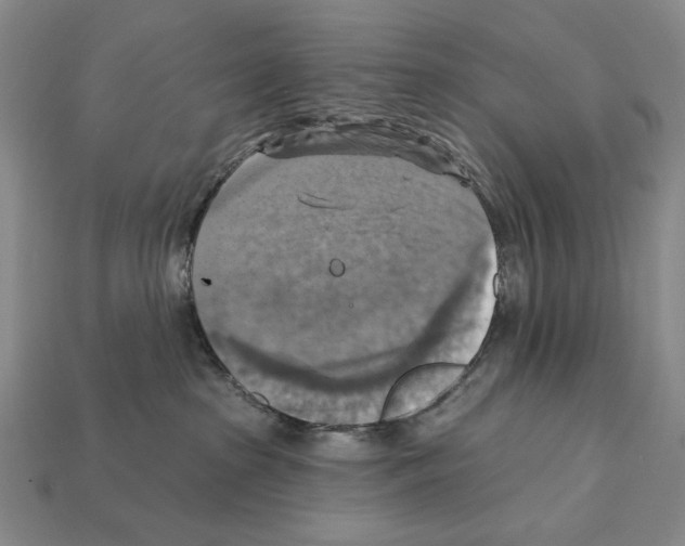 X0000112030285200909141103