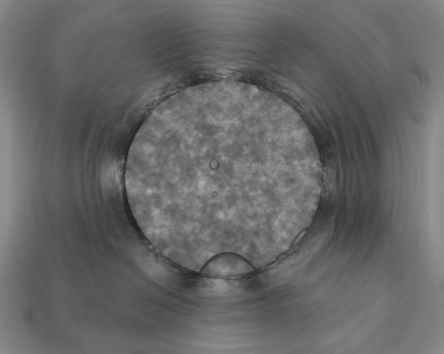 X0000112030286200909141103