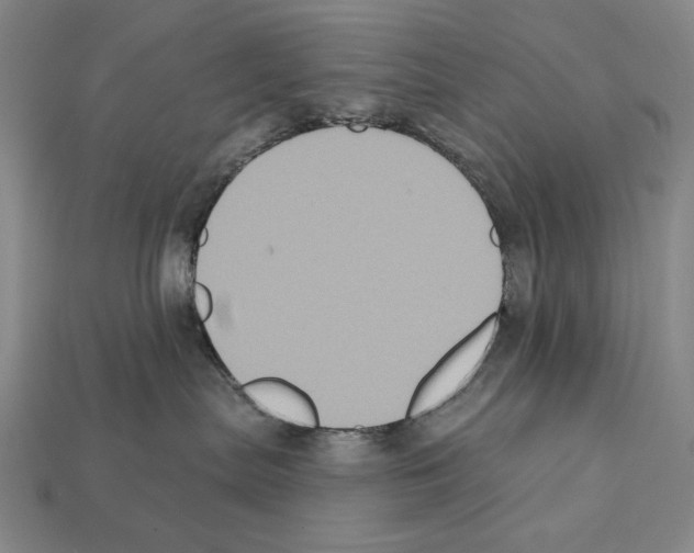 X0000112030287200909141103