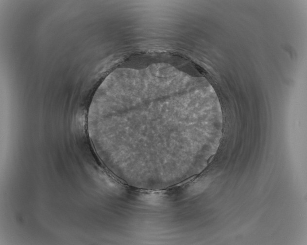 X0000112030288200909141103