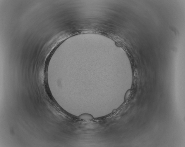 X0000112030290200909141102
