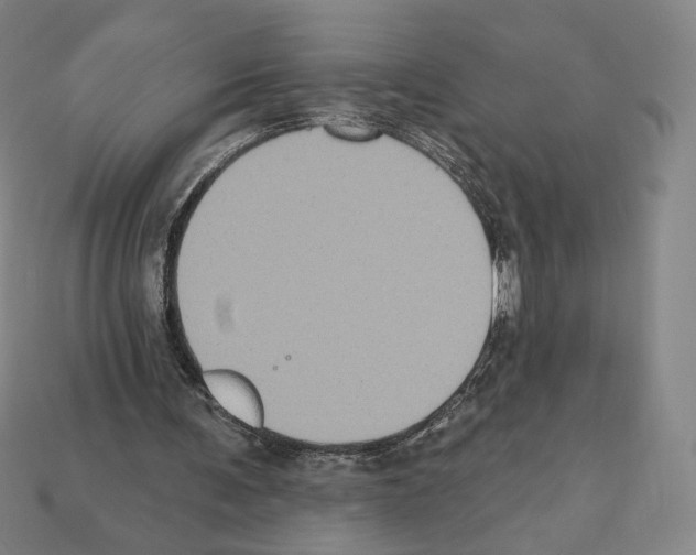 X0000112030291200909141102