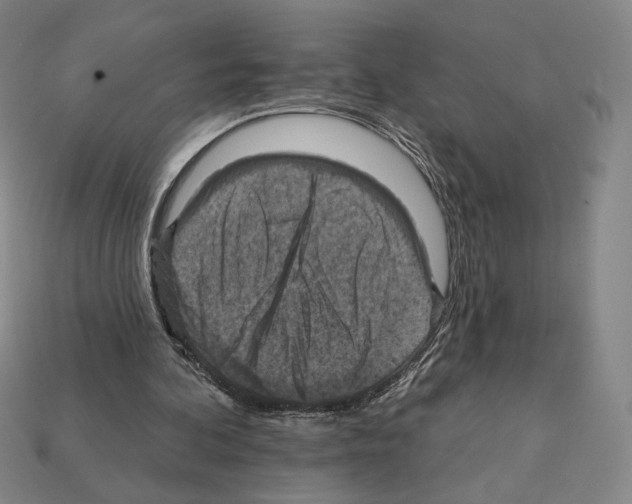 X0000112030292200909141102