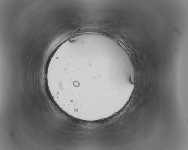 X0000112030293200909141102