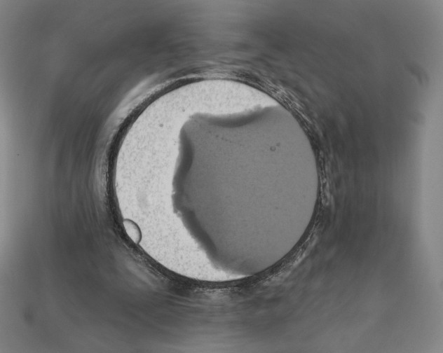 X0000112030295200909141102
