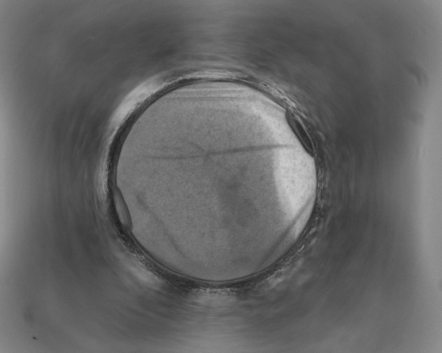 X0000112030296200909141102