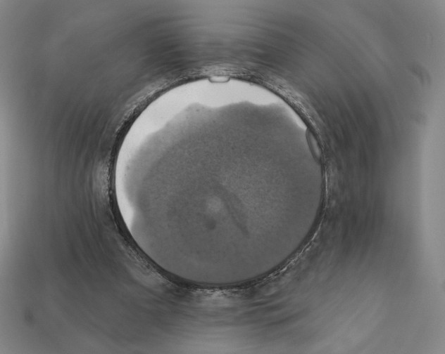 X0000112030297200909141102