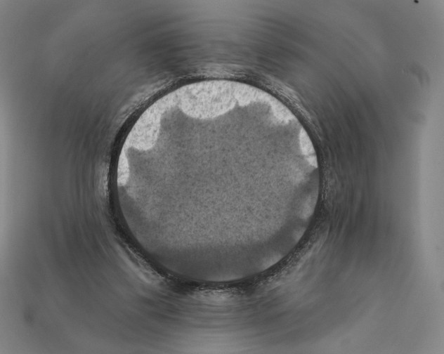 X0000112030299200909141102