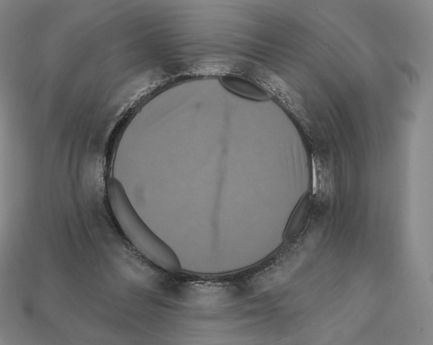 X0000112030300200909141102