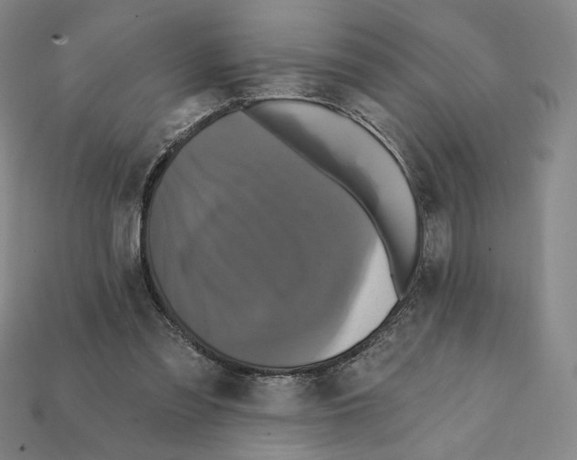 X0000112030301200909141102