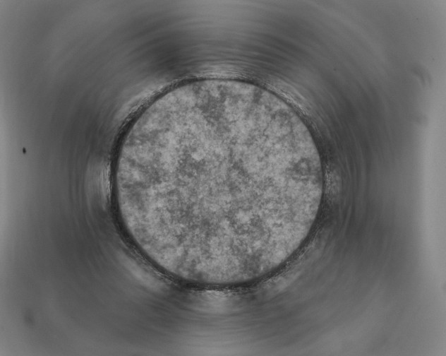 X0000112030302200909141102