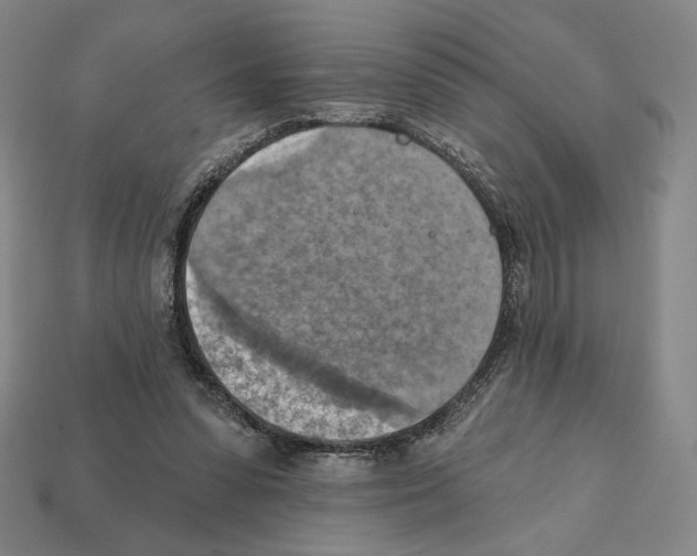 X0000112030303200909141102