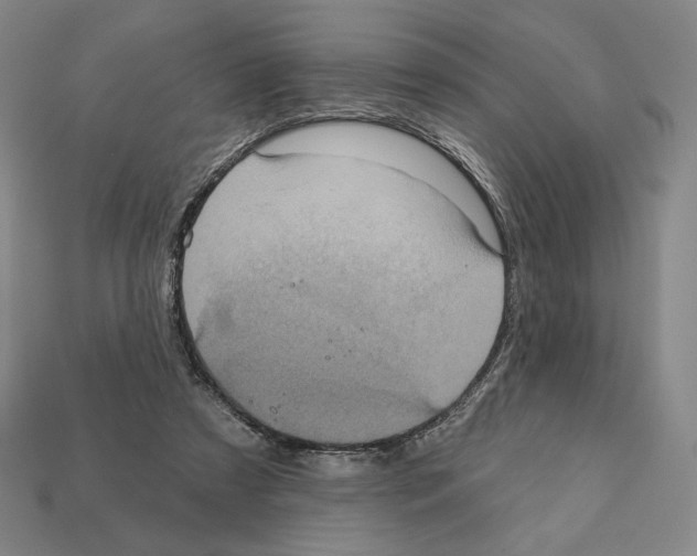 X0000112030305200909141102