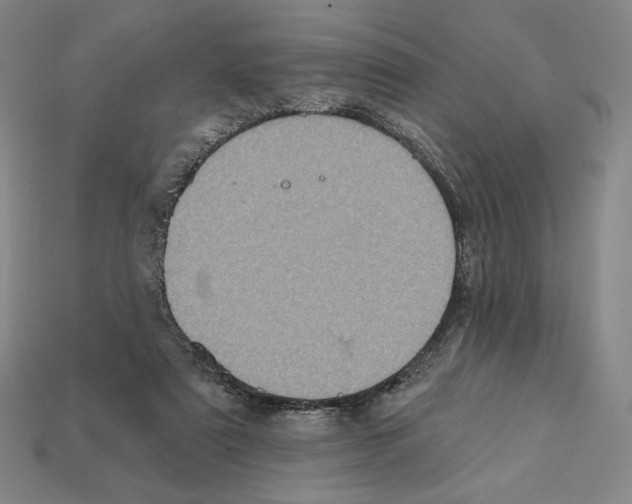 X0000112030307200909141102