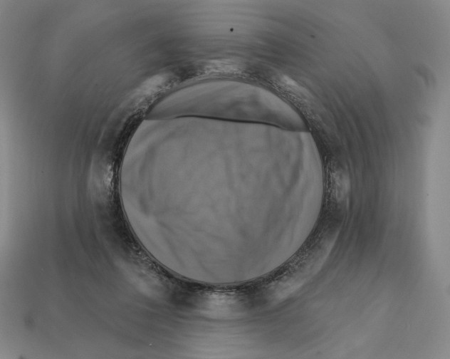 X0000112030308200909141102