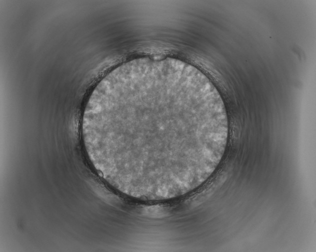 X0000112030309200909141102