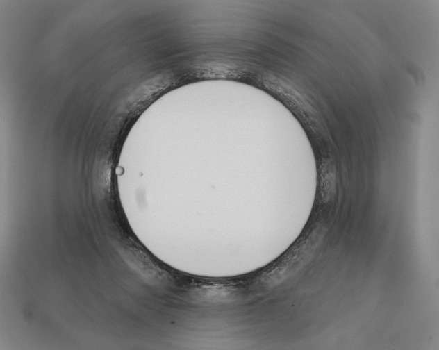 X0000112030310200909141102