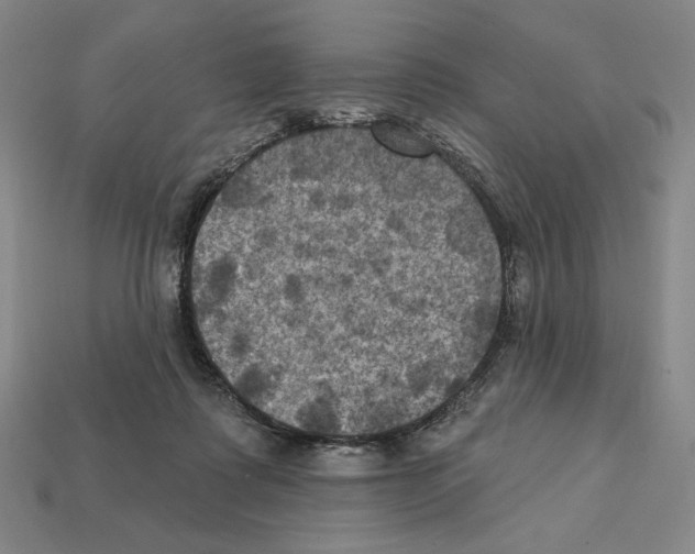 X0000112030315200909141102