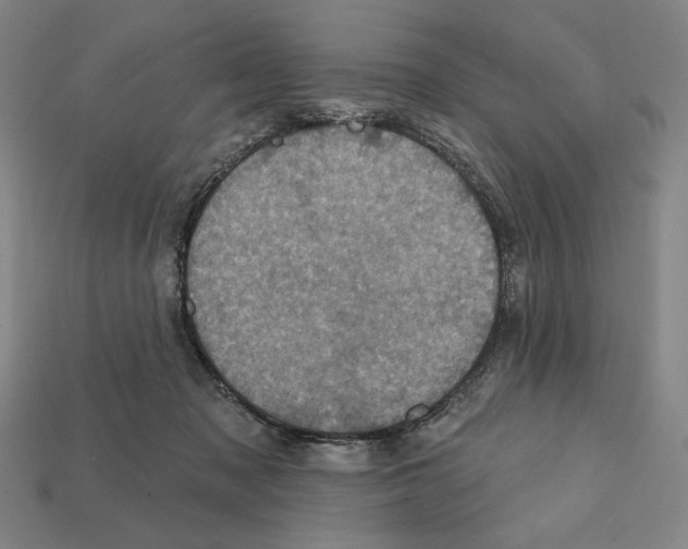 X0000112030317200909141102