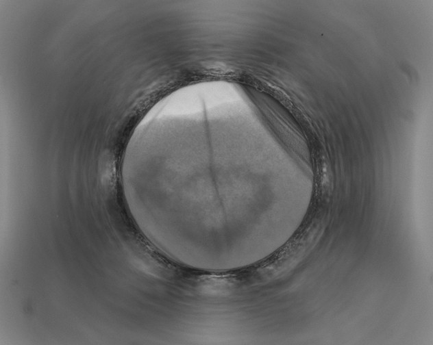 X0000112030320200909141102
