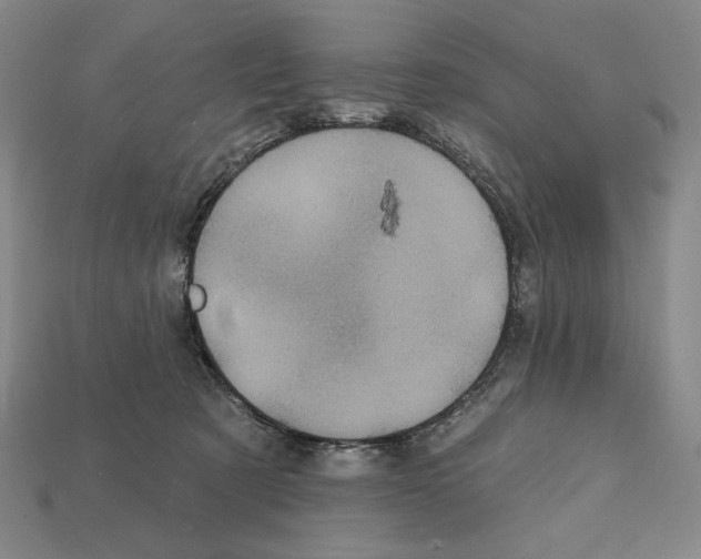 X0000112030321200909141102