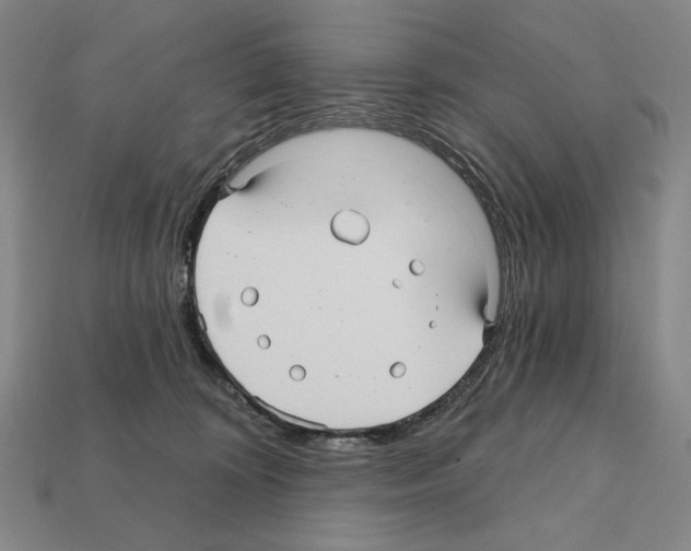 X0000112030324200909141102
