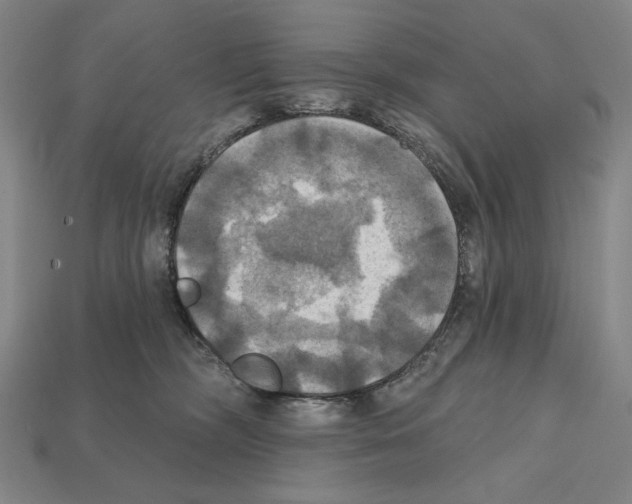 X0000112030326200909141102