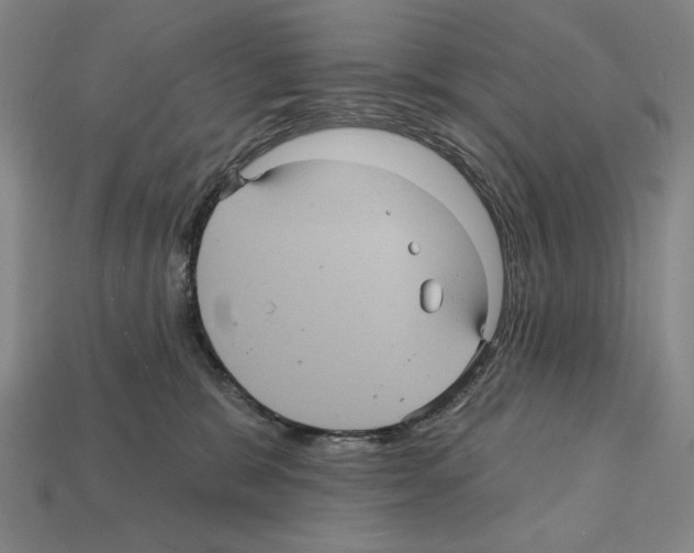 X0000112030327200909141102