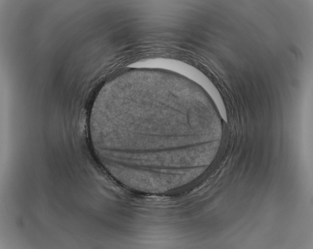 X0000112030328200909141102