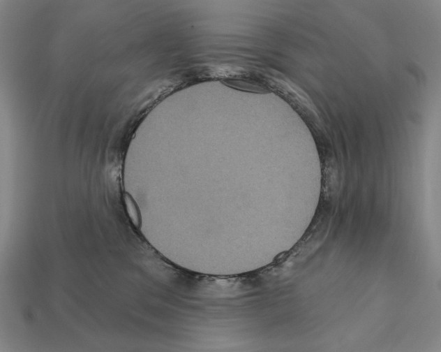 X0000112030329200909141102